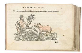 BELON, PIERRE. De aquatilibus, Libri duo.  1553